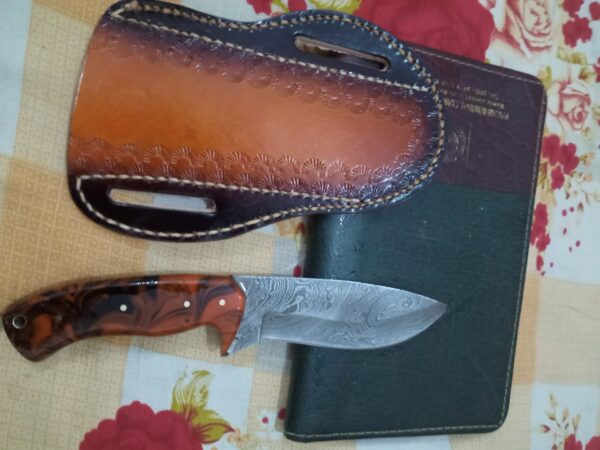 RABIT  EDC